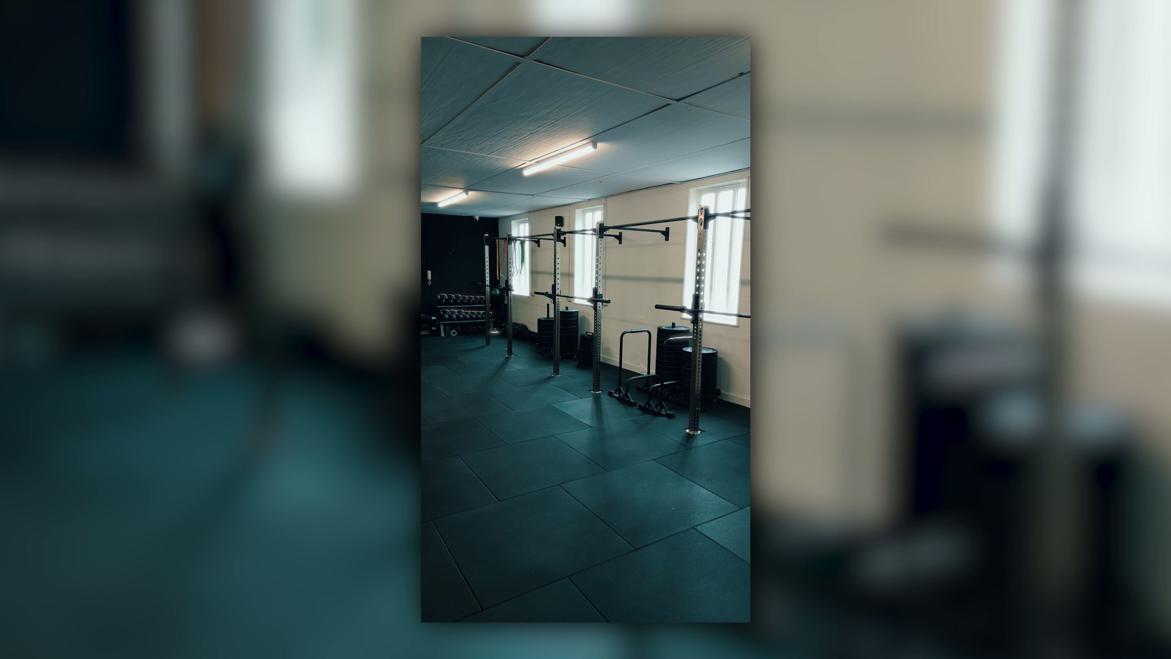 THE DEDICATED GYM TOUR